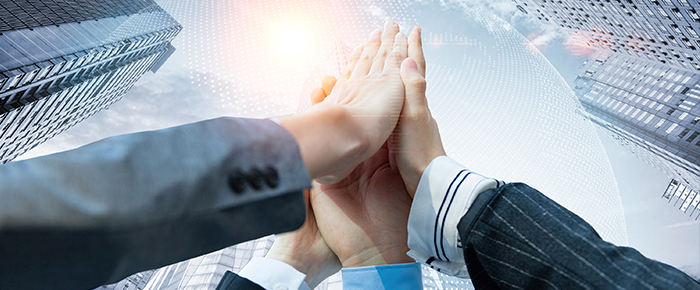 专业的服务团队